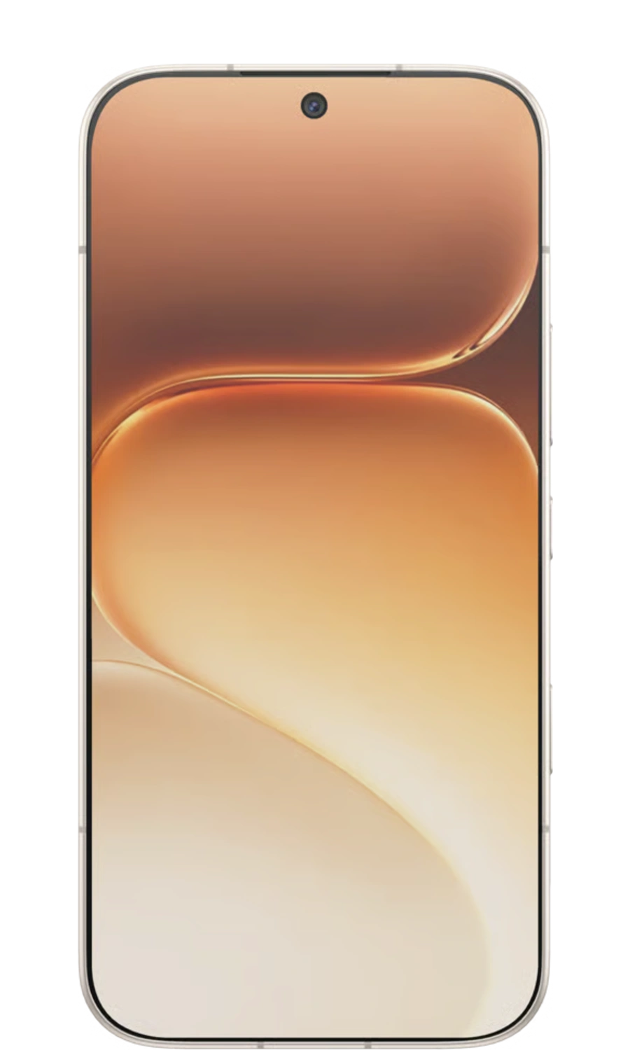 HONOR 600 - Vista Frontal